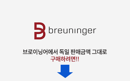 브로이닝거 바로가기